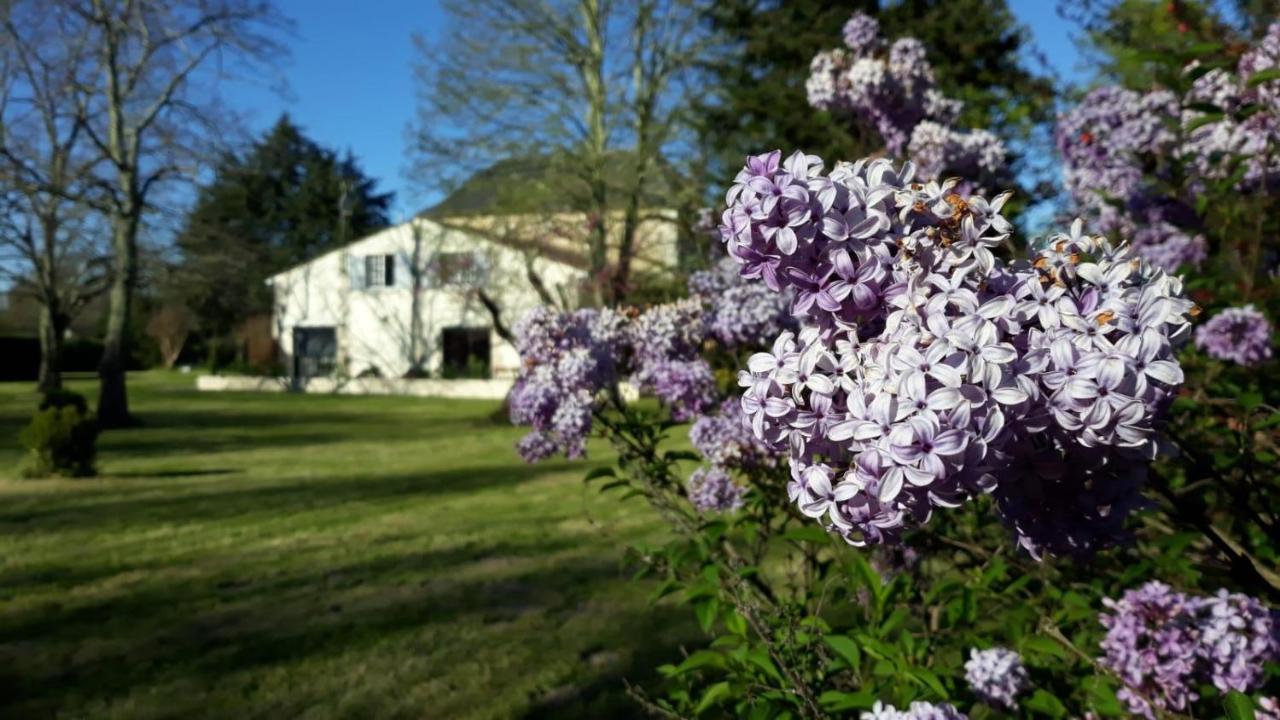 La Maison Du Champ De Beaumont Galgon Buitenkant foto